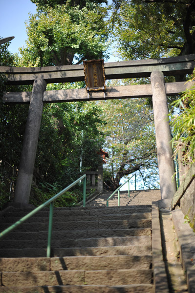 �}�y�����_�Ђ̎Q��