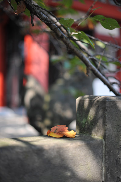 �}�y�����_��