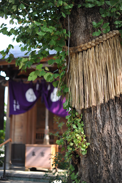 �}�y�����_��