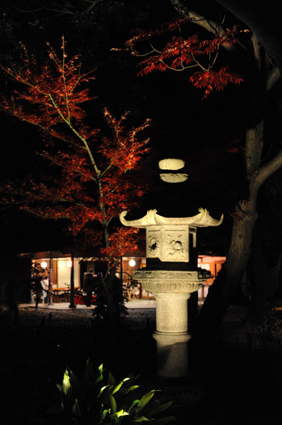 �Z�`���̃��C�g�A�b�v