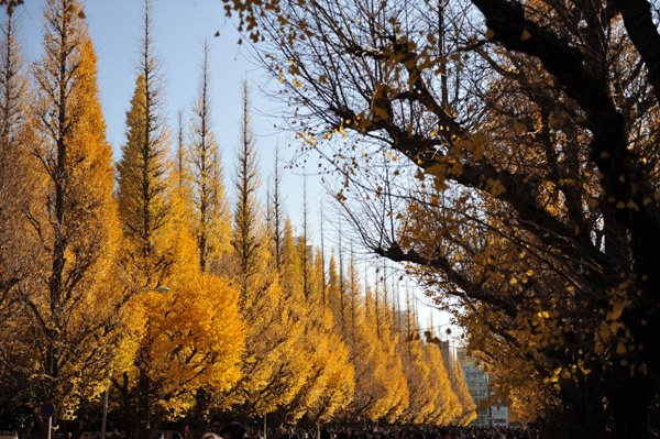 �_�{�O���̋�Ǖ���