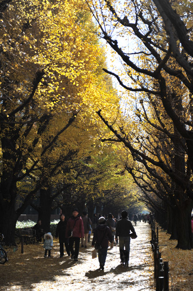 �_�{�O���̋�Ǖ���