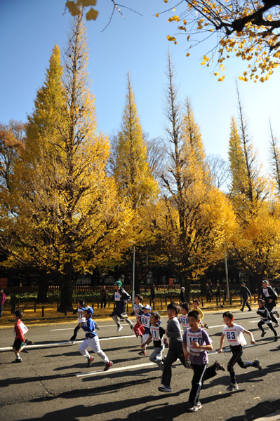 �_�{�O���̋�Ǖ���