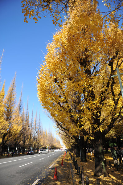 �_�{�O���̋�Ǖ���