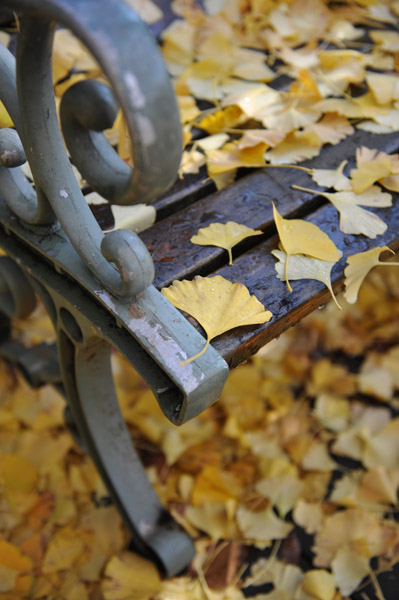 �_�{�O���̋�Ǖ���