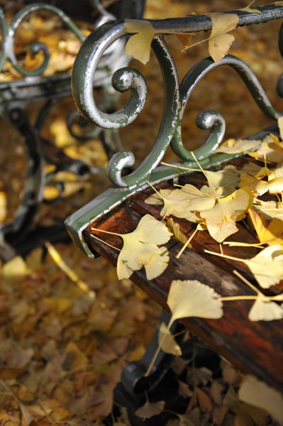 �_�{�O���̋�Ǖ���