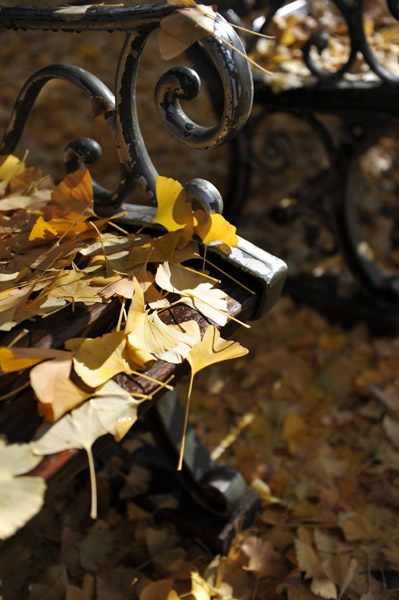 �_�{�O���̋�Ǖ���