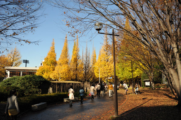 �_�{�O���̋�Ǖ���