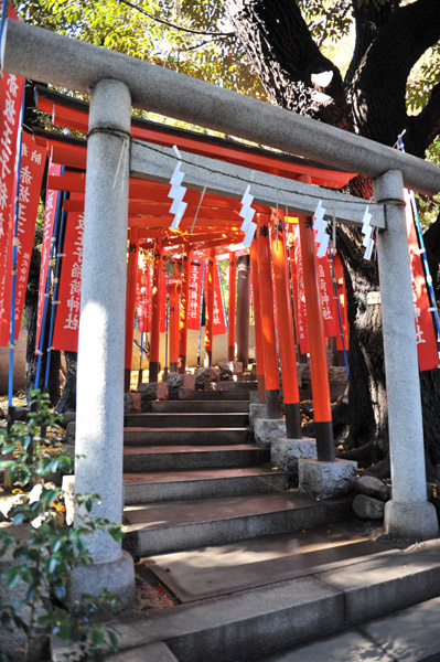 �T�ؐ_�БO�̂���חl�̒���