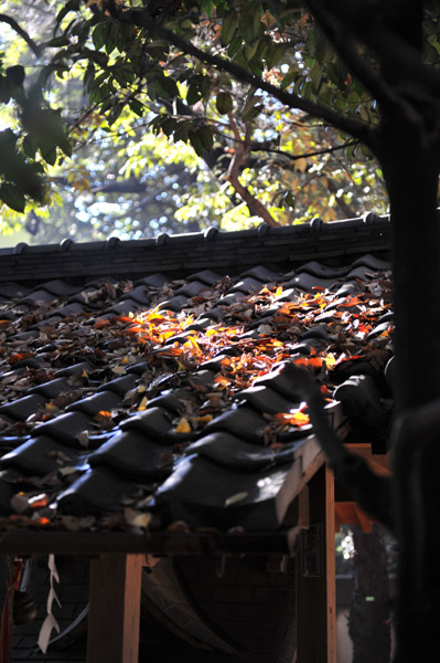 �ԍ�X��_��