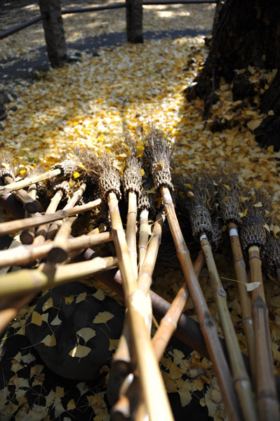 �ԍ�X��_��