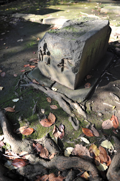 �ԍ�X��_�Ђ̋����ɂ�