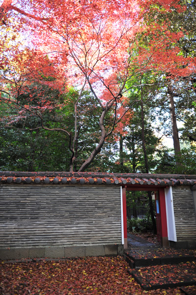 �ԍ�X��_��