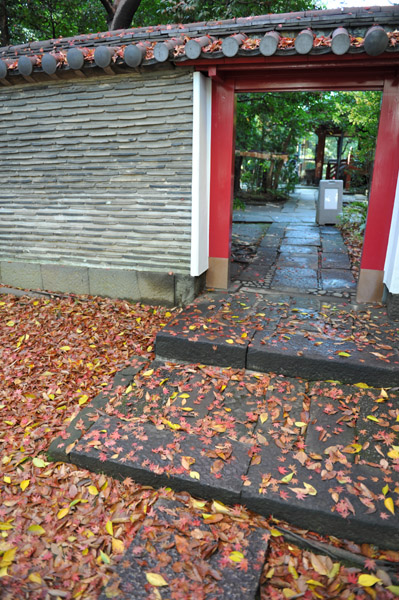 �ԍ�X��_��