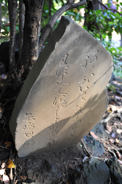 �ԍ�X��_��