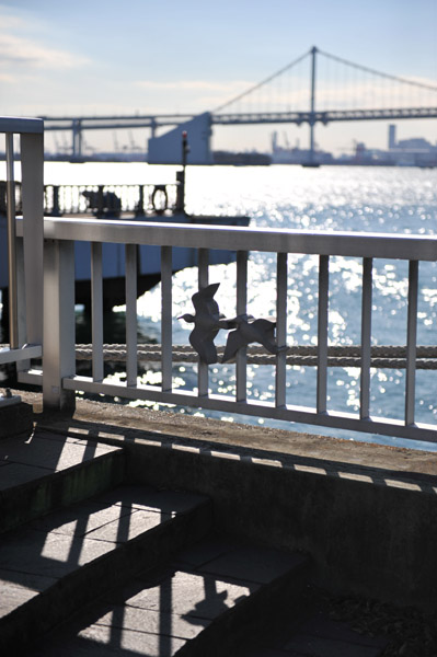 ���C�q�D�^�[�~�i��