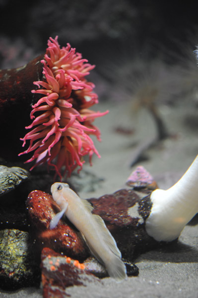 �����ՊC�������̋�