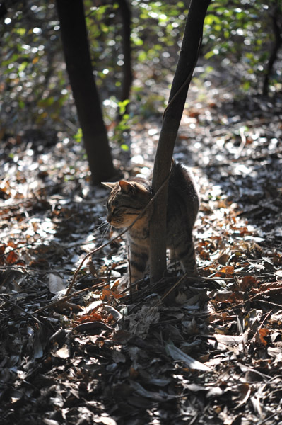 �����ՊC����