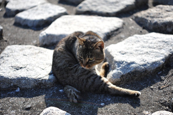 �����ՊC����