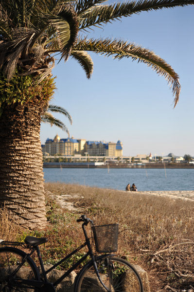 �����ՊC����