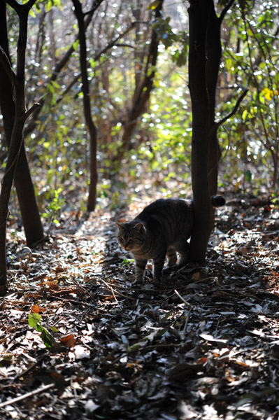 �����ՊC����