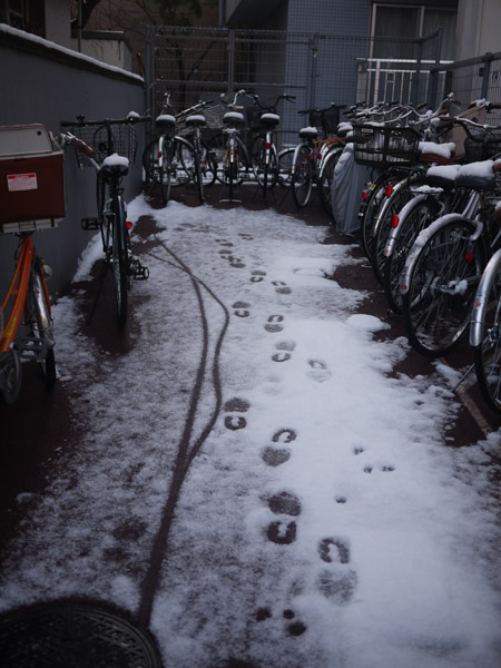 �����̐�i�F�@���֏�̕��i