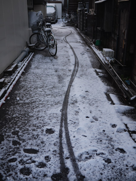 �����̐�i�F�@���]�Ԃ̓Q