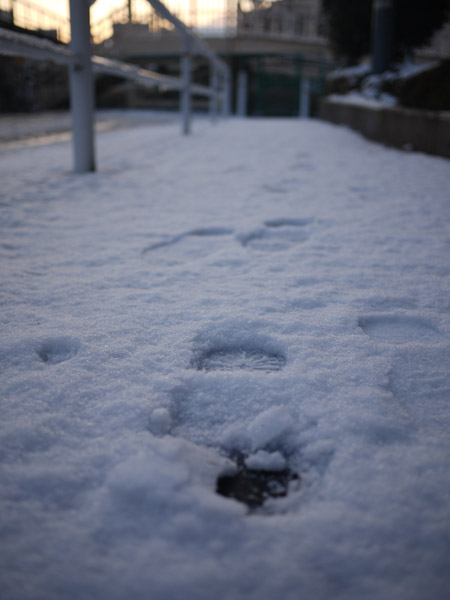 �����̐�i�F�@���̑���