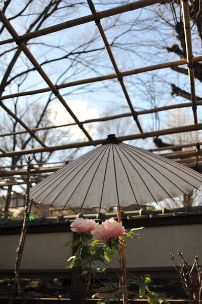 ��쓌�Ƌ{�@�~�ڂ���