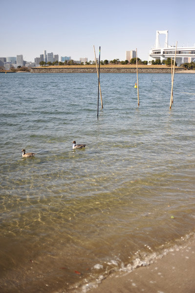 �����C�l�����̍��l