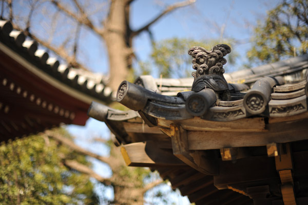 �Z�p���̉���