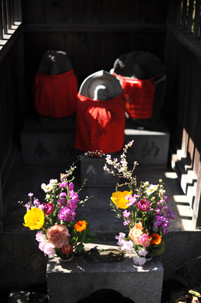 �q��n����