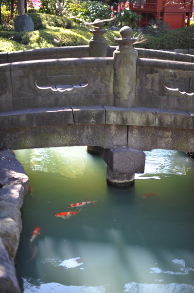 �Z�p���O�̒r