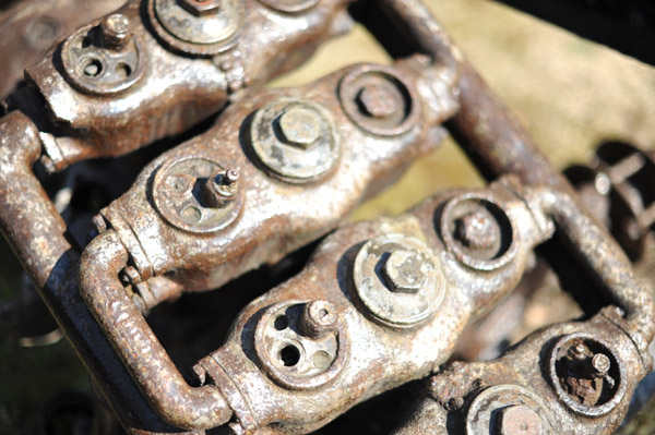 �֓���k�Ђ̒ܐՁ@�Ă��������Ԃ̃V���[�V