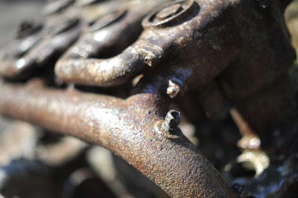 �֓���k�Ђ̒ܐՁ@�Ă��������Ԃ̃V���[�V