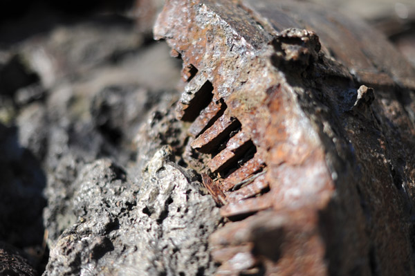 �֓���k�Ђ̒ܐՁ@�S�n�͓d���@