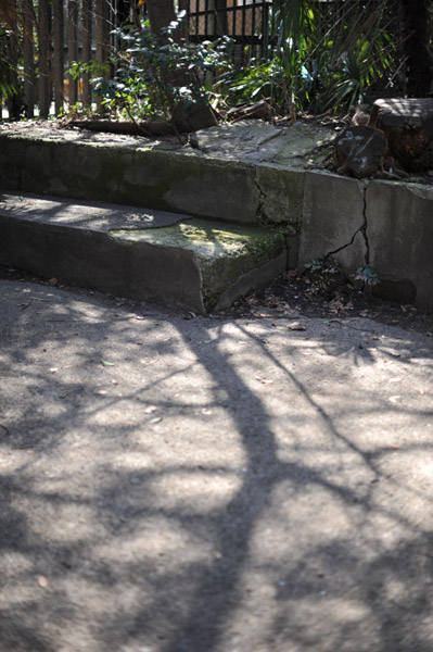 ��t���̓����