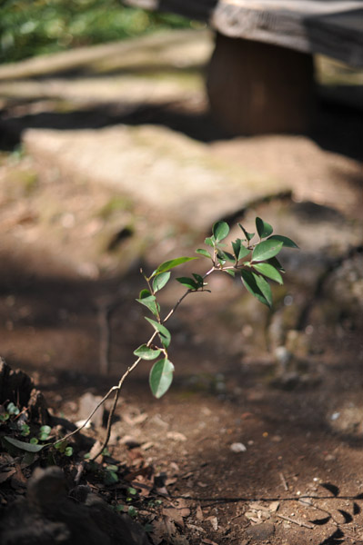 ��t���̋x�e���ɂ�