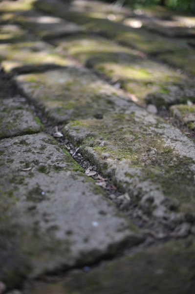 ��t���̐Ώ�