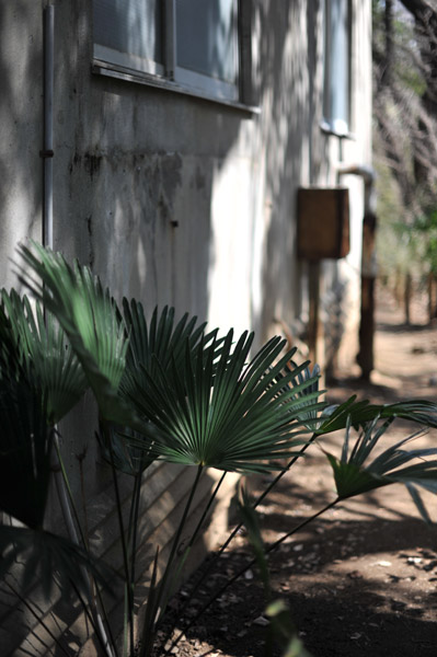 ��t���̌���