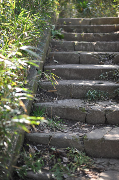 �����C�l�����̍��l