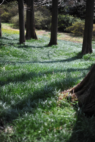 ���ΐ�A����