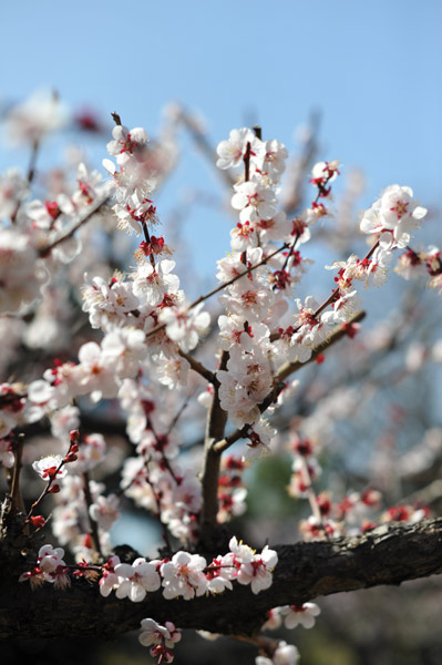 ���ΐ�A����