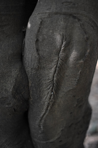 ���ΐ�A����