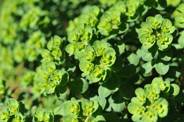 ���ΐ�A����