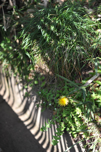 ���ΐ�A����