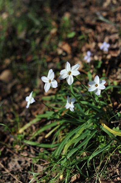 ���ΐ�A����