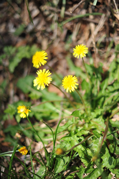 ���ΐ�A����