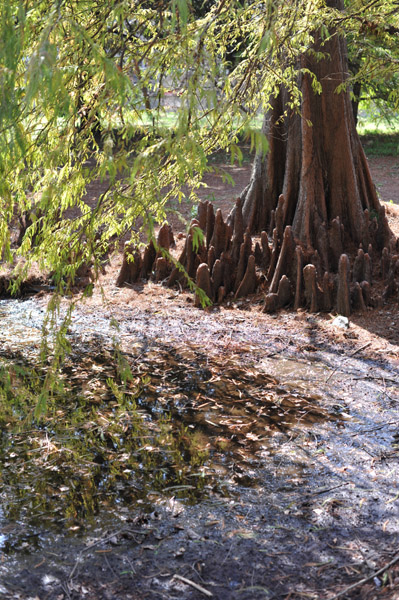 ���ΐ�A����