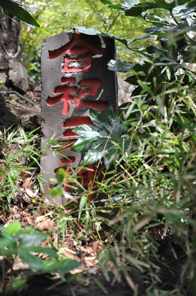 ���{��א_��